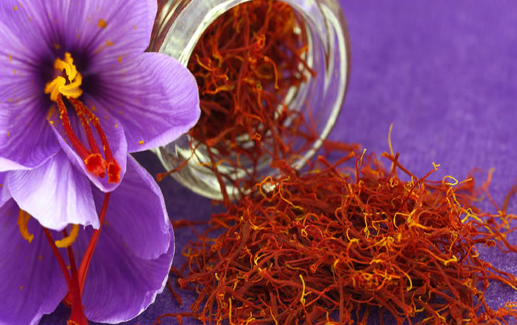 Bunga Saffron