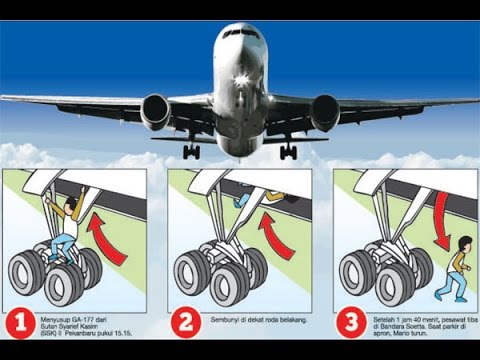 Penumpang Gelap Ini Bersembunyi di Roda Pesawat 