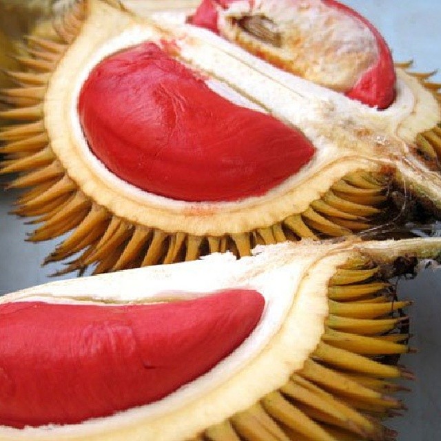 durian Lahung