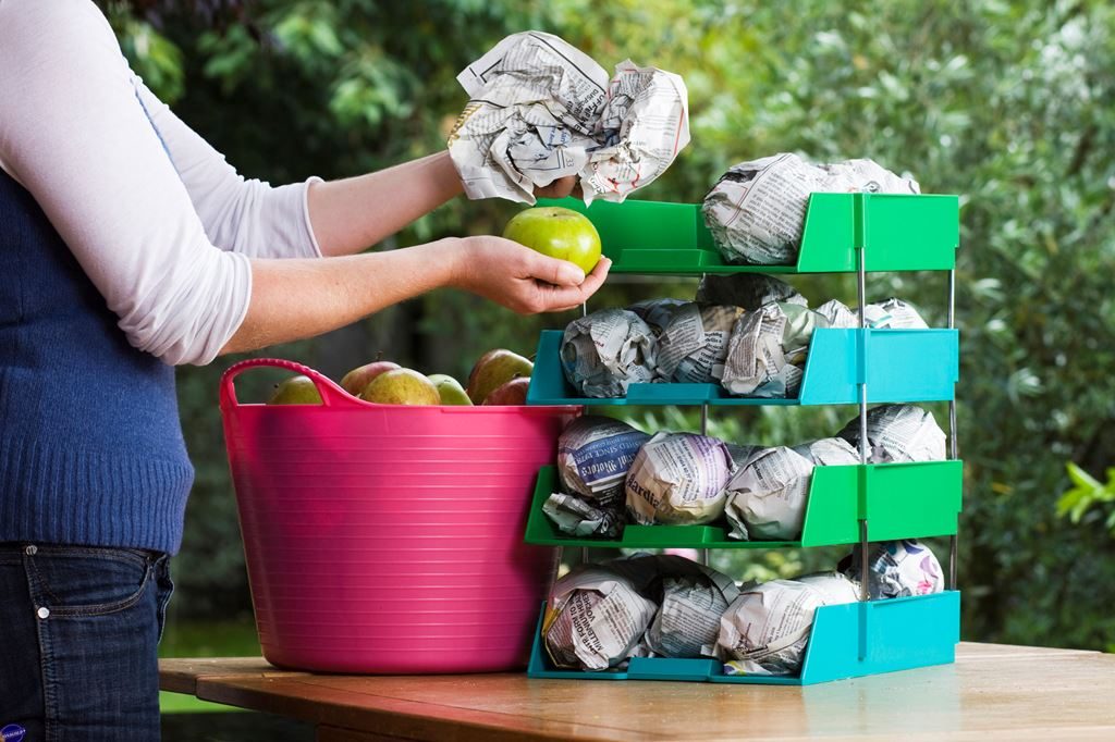 Cara Menyimpan Makanan Agar tidak Membusuk