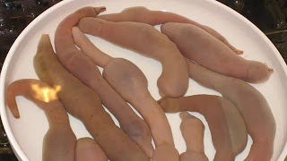 Ikan Penis, Makanan Pembangkit Gairah di Korea Gegerkan California