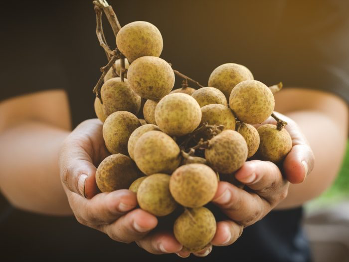 5 Khasiat Tak Terduga Buah Kelengkeng