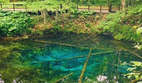 Kolam Natural Terindah di Dunia