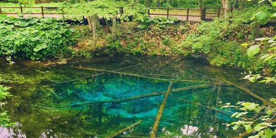 Kolam Natural Terindah di Dunia