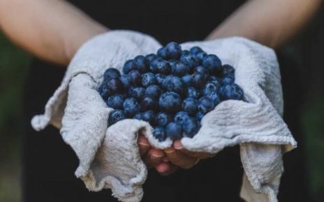 Ini Manfaat Sehat Blueberry Rajanya Antioksidan
