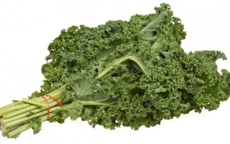 5 Khasiat Sayur Kale