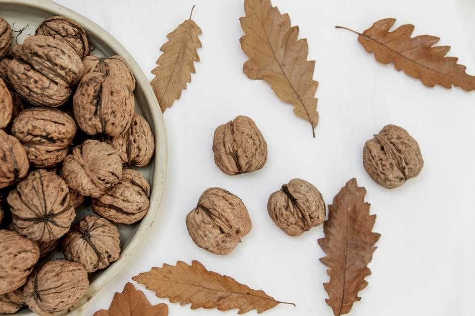 Manfaat Sehat dari Kacang Walnut