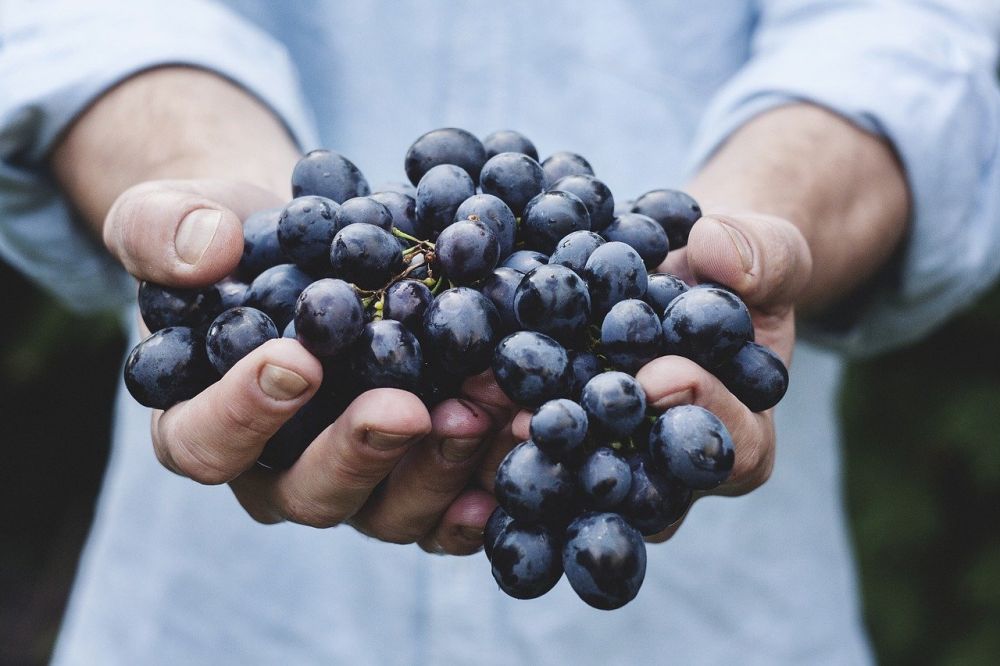 Buah Yang Kaya Akan Antioksidan