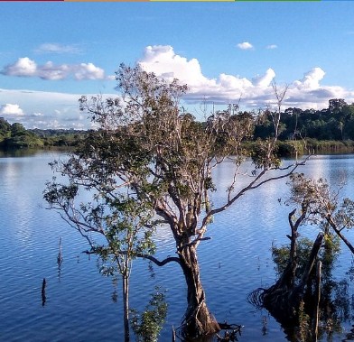 Keelokan 5 Pulau di Tengah Danau 