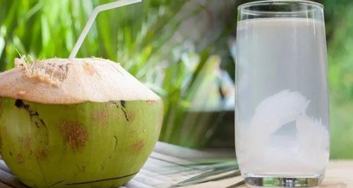 Benarkah Minum Air Kelapa Menyehatkan Ginjal