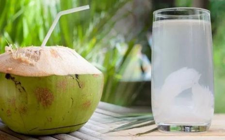 Benarkah Minum Air Kelapa Menyehatkan Ginjal