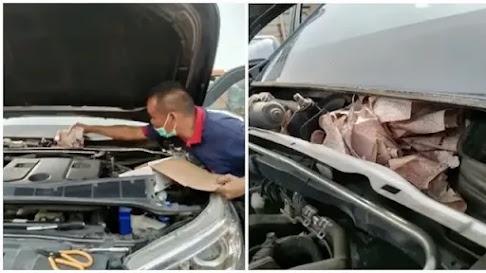 Sembunyikan Uang di Mobil Nasib Pria Ini Justru Apes