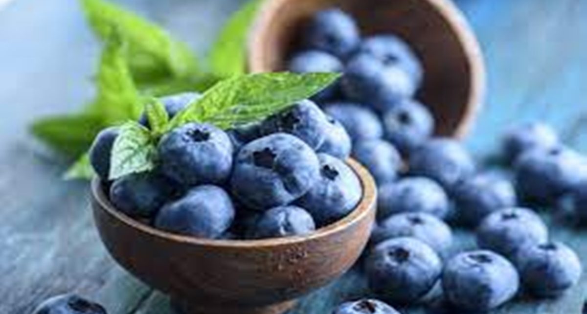 10 Manfaat Blueberry untuk Kesehatan dan Kecantikan