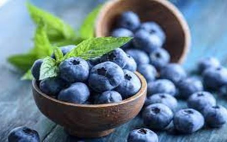 10 Manfaat Blueberry untuk Kesehatan dan Kecantikan