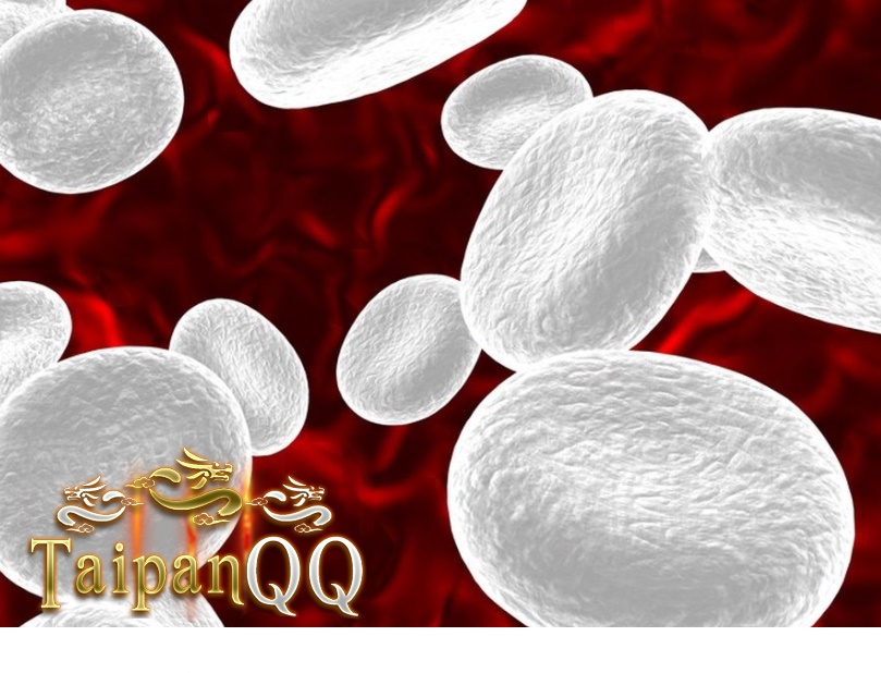 sel darah putih memiliki 5 fungsi sesuai di jenisnya
