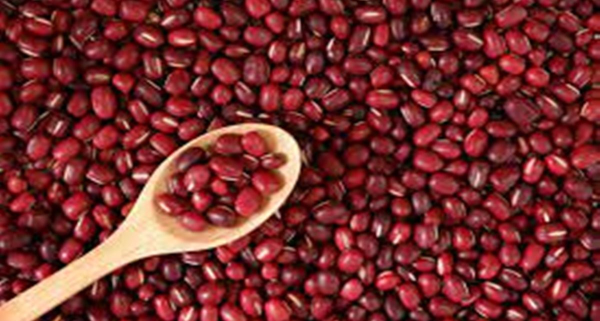 6 Manfaat Kacang Merah untuk Diet dan Atasi Penyakit Berbahaya