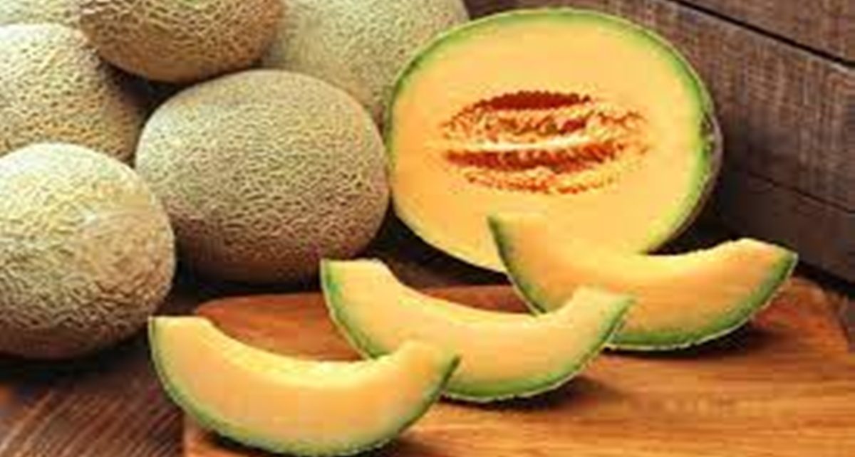 7 Manfaat Konsumsi Melon untuk Kesehatan, Salah Satunya Bagus untuk Kulit