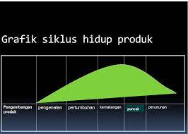 Daur Hidup Produk: Pengertian dan Tahapannya