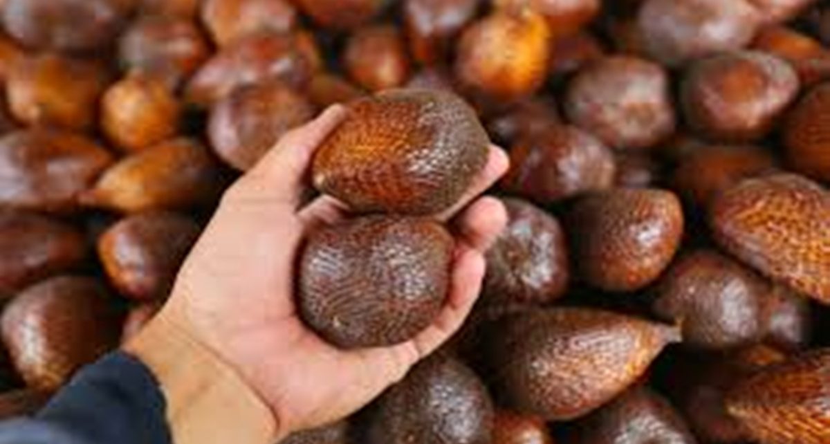 6 Manfaat Buah Salak Bagi Kesehatan