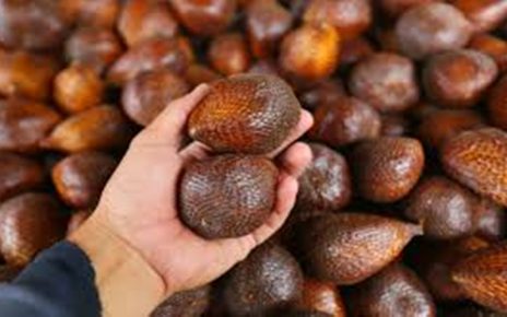 6 Manfaat Buah Salak Bagi Kesehatan