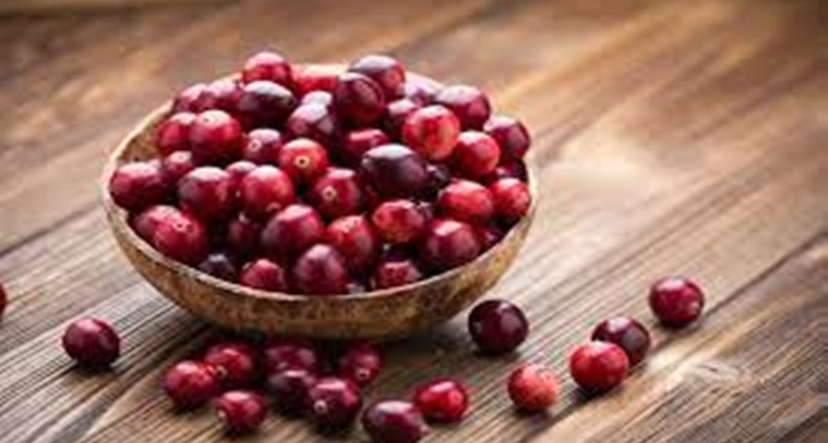 10 Manfaat Buah Cranberry untuk Kesehatan, Cegah Infeksi