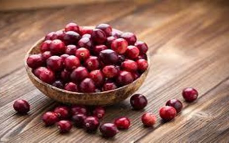 10 Manfaat Buah Cranberry untuk Kesehatan, Cegah Infeksi