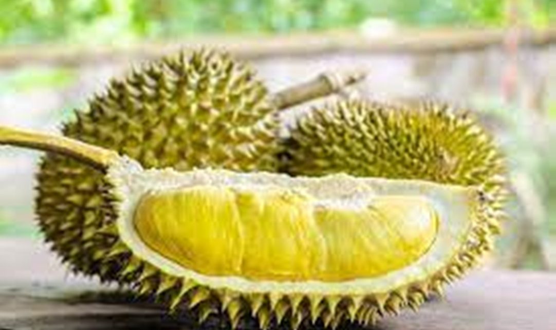 Kaya akan Vitamin dan Mineral, Ini 5 Manfaat Buah Durian untuk Kesehatan Tubuh