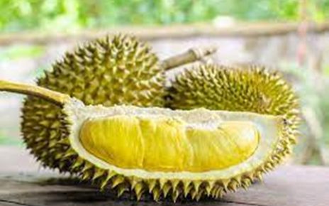 Kaya akan Vitamin dan Mineral, Ini 5 Manfaat Buah Durian untuk Kesehatan Tubuh