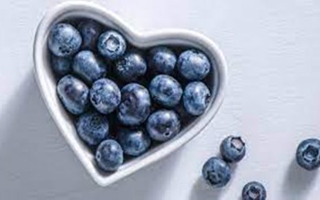 10 Manfaat Blueberry untuk Kesehatan dan Kecantikan