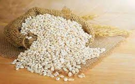 9 Manfaat Biji Barley untuk Kesehatan dan Kandungan Gizinya, Kaya Vitamin