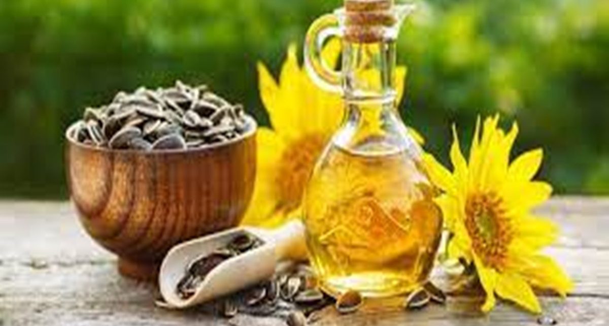 8 Manfaat Minyak Biji Bunga Matahari untuk Kecantikan Kulit, Mengandung Antioksidan