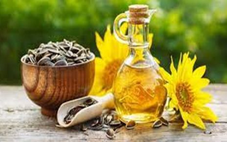 8 Manfaat Minyak Biji Bunga Matahari untuk Kecantikan Kulit, Mengandung Antioksidan