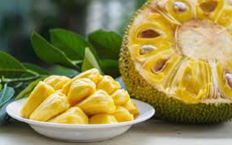 8 Manfaat Buah Nangka bagi Tubuh, Perhatikan Jumlah Konsumsinya