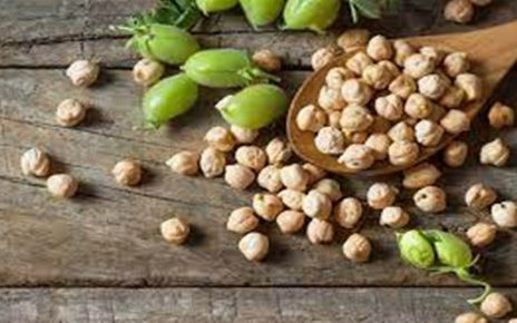 10 Manfaat Kacang Arab untuk Kesehatan, Sumber Mineral Penting