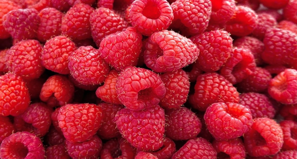 6 Manfaat Mutakhir dari Raspberry untuk Kecantikan