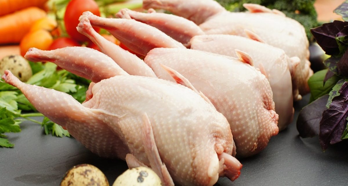 10 Manfaat Daging Burung Puyuh untuk Kesehatan, Penuh Nutrisi