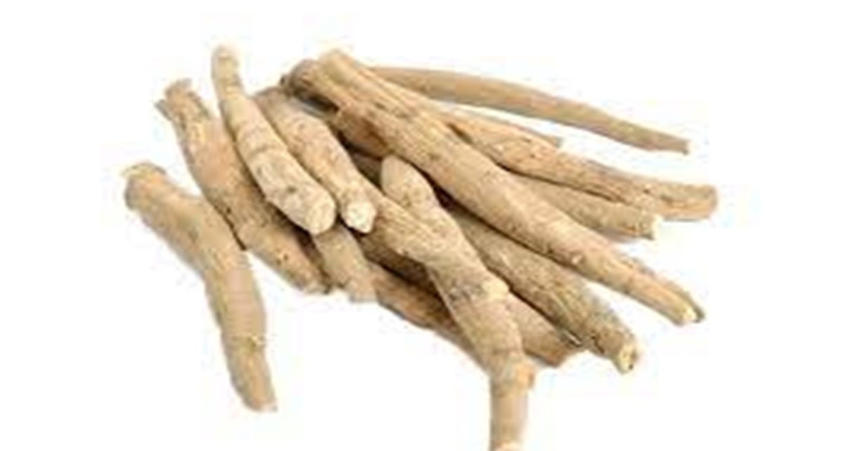 10 Manfaat Ashwagandha untuk Kesehatan, Ginseng India Kaya Khasiat