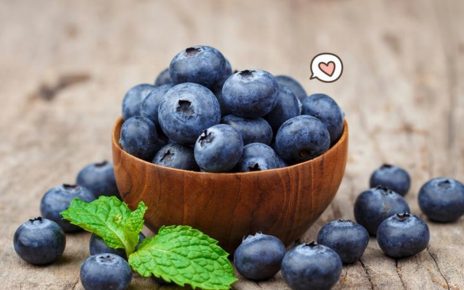 7 Manfaat Buah Blueberry bagi Kesehatan Anak
