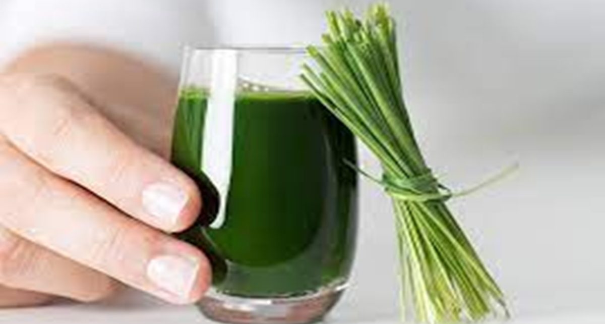 10 Manfaat Wheatgrass, Superfood yang Kaya Nutrisi