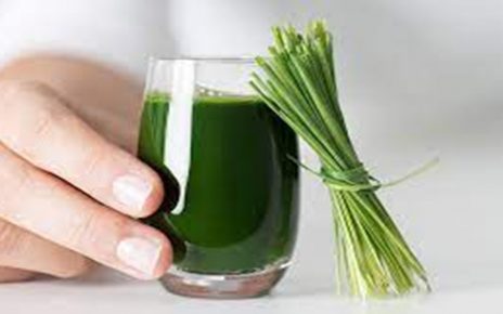 10 Manfaat Wheatgrass, Superfood yang Kaya Nutrisi