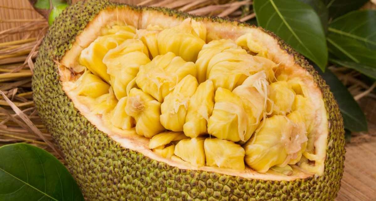 8 Manfaat Buah Nangka bagi Tubuh, Perhatikan Jumlah Konsumsinya