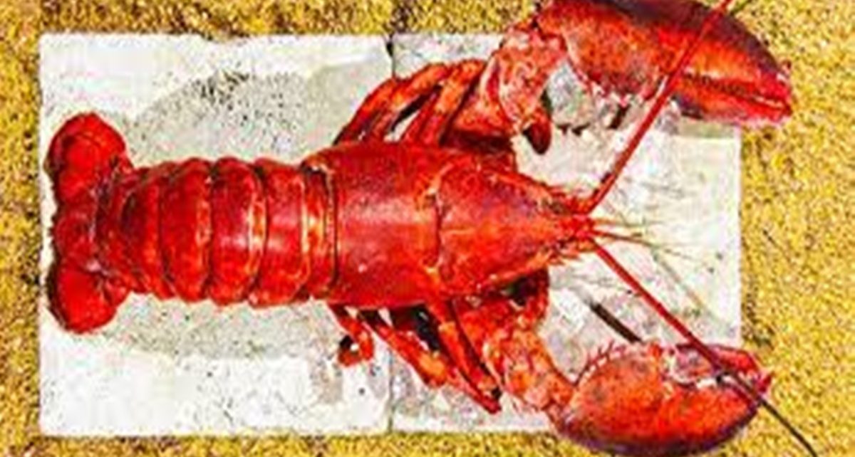 10 Manfaat Lobster untuk Kesehatan, Lindungi dari Berbagai Penyakit