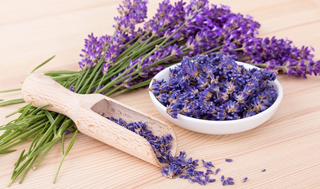 5 Manfaat Bunga Lavender untuk Kesehatan Kulit