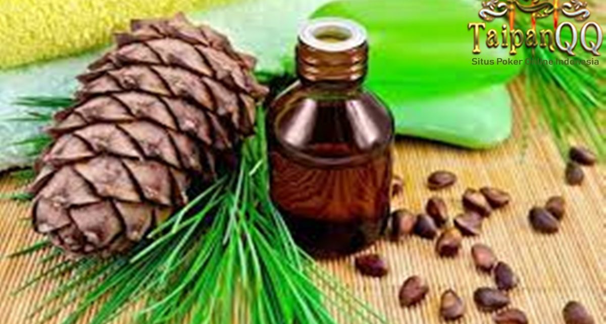 9 Manfaat Minyak Pinus untuk Kesehatan dan Kecantikan