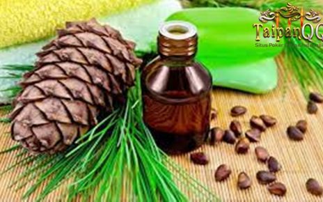 9 Manfaat Minyak Pinus untuk Kesehatan dan Kecantikan