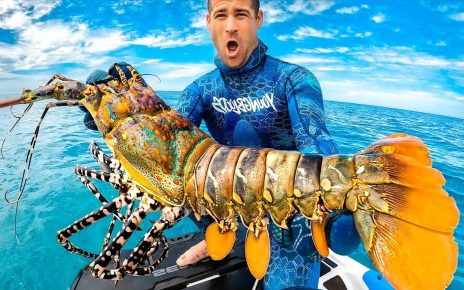 10 Manfaat Lobster untuk Kesehatan, Lindungi dari Berbagai Penyakit