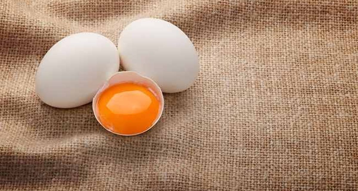 8 Manfaat Kuning Telur Bebek bagi Tubuh, Bisa Meningkatkan Kesuburan