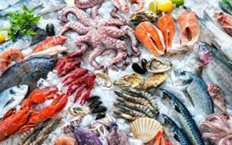 7 Seafood yang Punya Manfaat Besar Bagi Kesehatan Tulang dan Gigi
