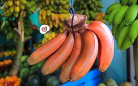 10 Manfaat Pisang Merah untuk Kesehatan, Lebih Tinggi Antioksidan