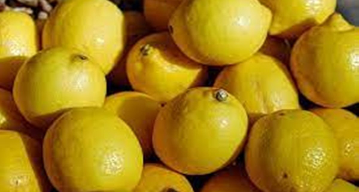 10 Manfaat Jeruk Lemon untuk Kesehatan